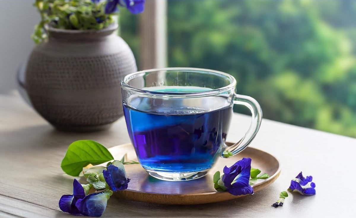 A glass cup of blue butterfly pea tea