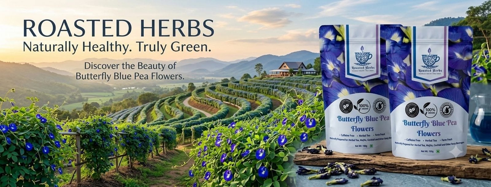 Butterfly Blue Pea Flowers — Naturally Healthy. Truly Green.